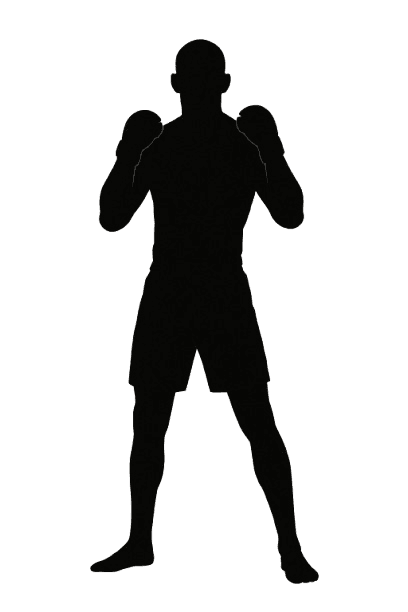MMA Fighter image